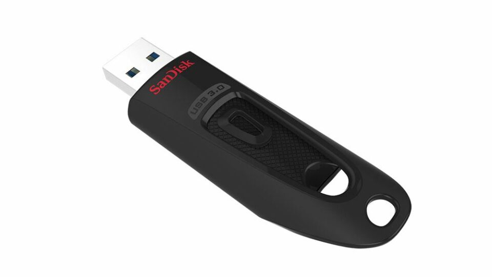 256GB Ultra 3.0 Siyah USB Bellek