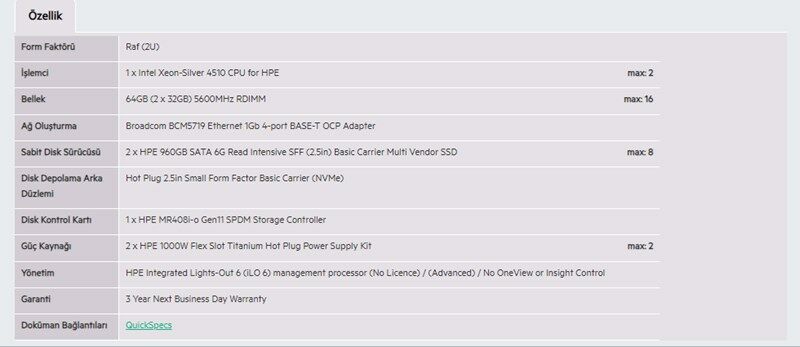 HPE DL380 Gen11 4510-64GB-2x960GB SSD-2U (P71674)